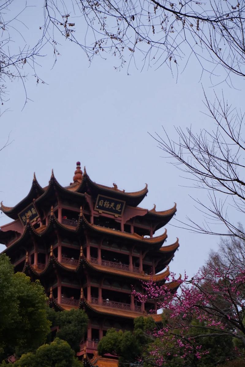 景区运营与管理：智慧化转型的新篇章